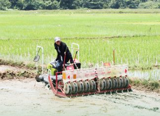26 firms showcase rice technologies in Eastern Samar rice derby