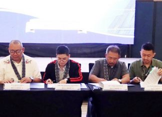 DOE, five Eastern Visayas LGUs forge pact to boost solar power in government buildings