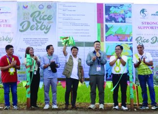 DA rolls out 150-hectare rice derby in Eastern Samar to boost harvests