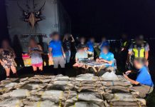 P3.25-M in alleged smuggled cigarettes seized in Samar; 3 arrested in entrapment operation