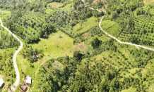 DPWH completes concrete road in isolated Leyte sitio
