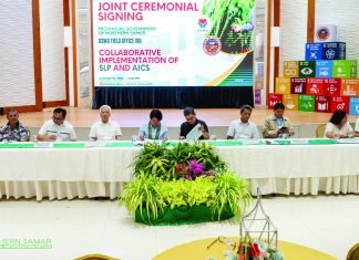 Northern Samar, DSWD expand livelihood support for inmates