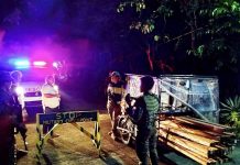 Army, police seize illegally cut lumber, arrest suspect in Leyte anti-illegal logging operation