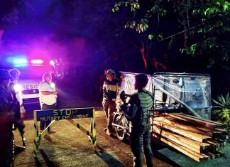 Army, police seize illegally cut lumber, arrest suspect in Leyte anti-illegal logging operation
