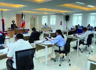 Leyte SP presses EPIRA overhaul