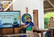 Northern Samar consumers may see lower power bills after ERC action