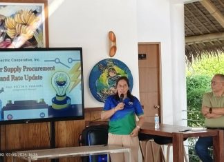Northern Samar consumers may see lower power bills after ERC action