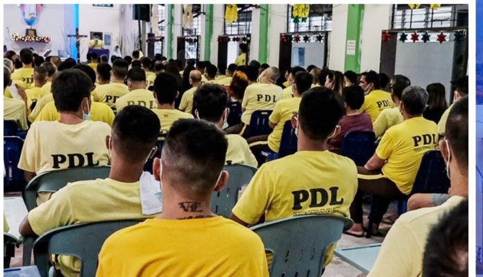 pdls1jpg copy