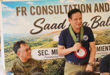 Sarmiento visits Calbiga housing project for former rebels