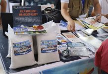 Solar salt production gives Daram fisherfolk new livelihood option