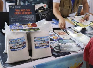 Solar salt production gives Daram fisherfolk new livelihood option