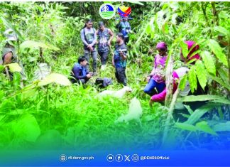 Farmers, DENR, EDC team up to bring 60 hectares of Leyte back to forest