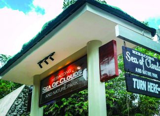 Flower project to boost eco-tourism, livelihoods in Borongan’s Hebacong sea of clouds