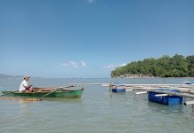 BFAR warns public of red tide in Leyte coastal waters