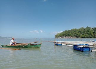 BFAR warns public of red tide in Leyte coastal waters