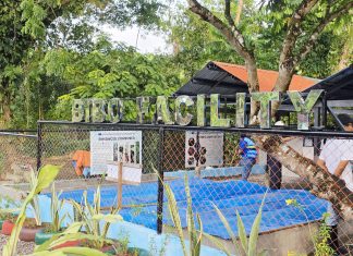 Ormoc expands waste recovery, landfill capacity as garbage volume rises