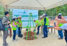 Green Samar Project launches bid to restore 120,000 hectares of degraded forests