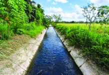 NIA-8 prepares water-saving measures as El Niño threatens EV farms