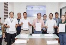 45,000 native trees to be planted as partners restore 60 hectares in Leyte