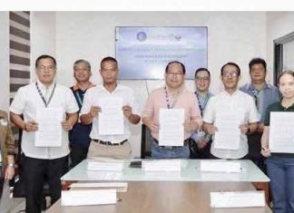 45,000 native trees to be planted as partners restore 60 hectares in Leyte